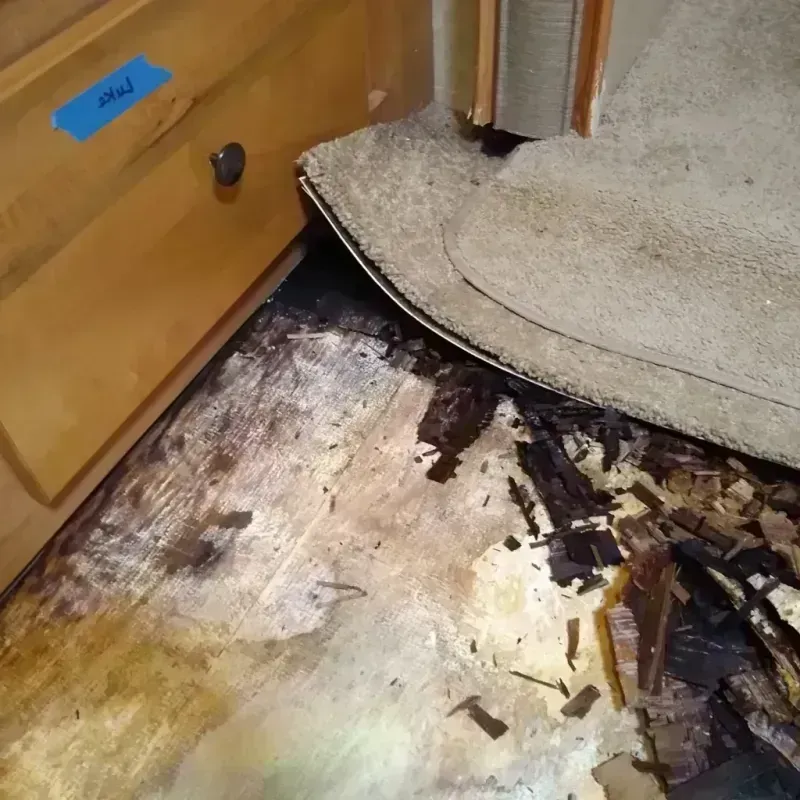 Wood Floor Water Damage in Rosemont, CA